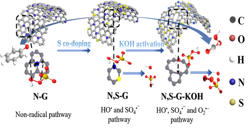 ACS Catal：KOH活化N、S共掺杂石墨烯实现自由基氧化机理控制