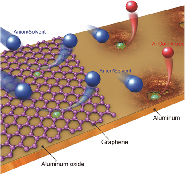 北京大学Adv. Mater.：可提高抗腐蚀性能的石墨烯包覆铝箔作为锂离子电池集流体