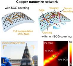 我院陈珂教授团队在Nano Energy上发表关于单晶石墨烯基柔性透明电极的最新成果