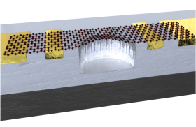 Schematics of a pressure sensor based on a 2D material (graphene) 