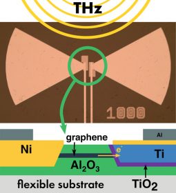 Picture and schematics of the graphene-based rectennas.