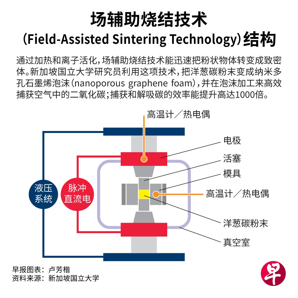 国大研究：用“洋葱”捕获二氧化碳 效率可增千倍