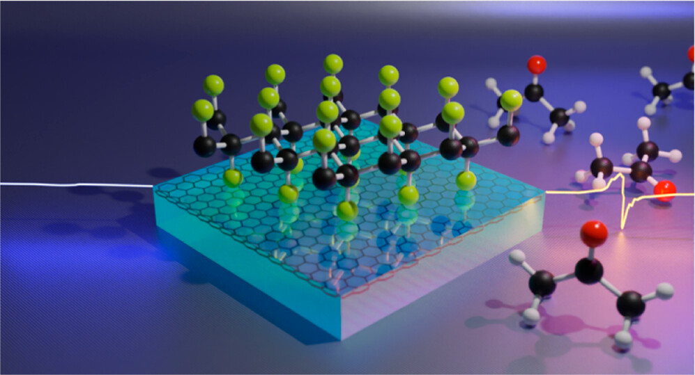 JACS：UV光照导致溶剂向氟化石墨烯转移电荷并且形成极化子