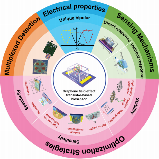 济南大学张丛丛副教授、刘宏教授、山东大学韩琳教授AFM综述：石墨烯场效应晶体管在生物检测领域的最新进展