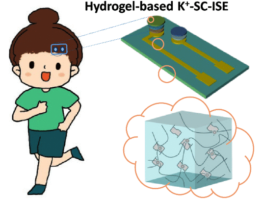 广州大学《Anal. Chem》：石墨烯-聚乙烯醇水凝胶涂层固体接触离子选择性电极，用于可穿戴汗液钾离子传感