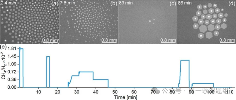 ACS Nano | 化学气相沉积过程中石墨烯在液态铜上的生长动力学