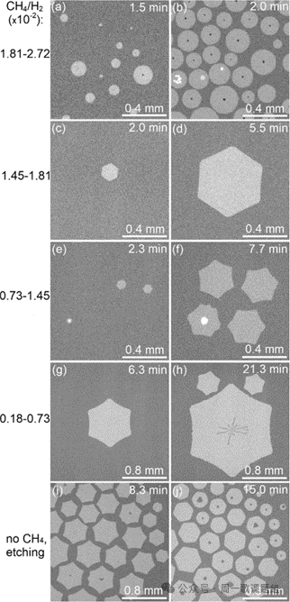 ACS Nano | 化学气相沉积过程中石墨烯在液态铜上的生长动力学