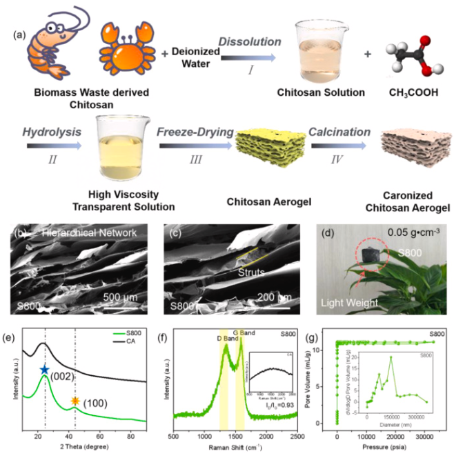 南航《Carbon》：可持续壳聚糖衍生的 3D 多级多孔碳气凝胶，具有先进的红外雷达兼容性
