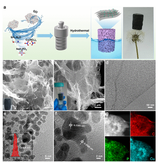 南京工业大学《Langmuir》：CHP/rGO气凝胶，用于有机污染物的全光谱驱动光催化降解