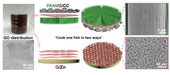 东华大学《Carbon》：受“一鱼两吃”启发，PANI/G/CC||G/Zn电池，增强水性锌离子电池的动力学和循环稳定性