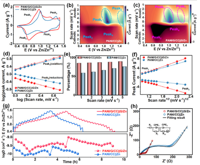 东华大学《Carbon》：受“一鱼两吃”启发，PANI/G/CC||G/Zn电池，增强水性锌离子电池的动力学和循环稳定性