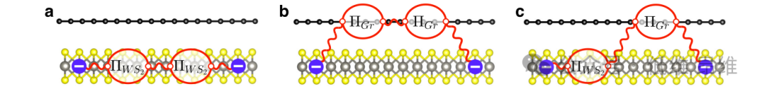 Nat. Commun.：石墨烯WS2异质结中层间等离子体极化子的观察