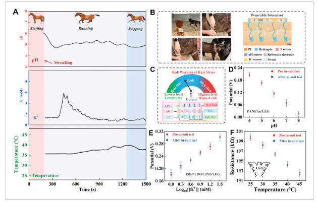 浙江大学《Adv Sci》：基于激光雕刻石墨烯的连续汗液分析贴片，用于马匹热应激管理