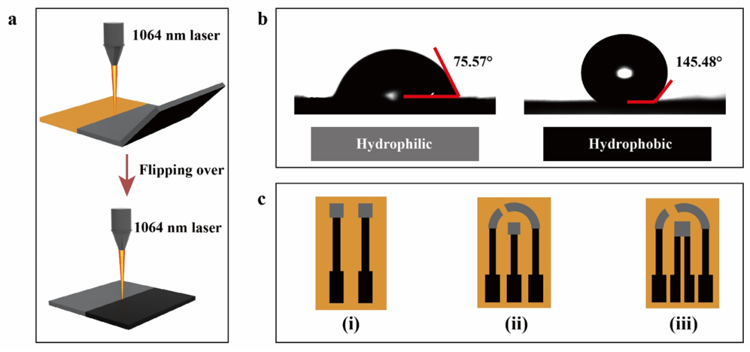 Biosensors&Bioelectronics：多功能激光诱导石墨烯电路和激光打印纳米材料用于无创人体肾脏功能监测