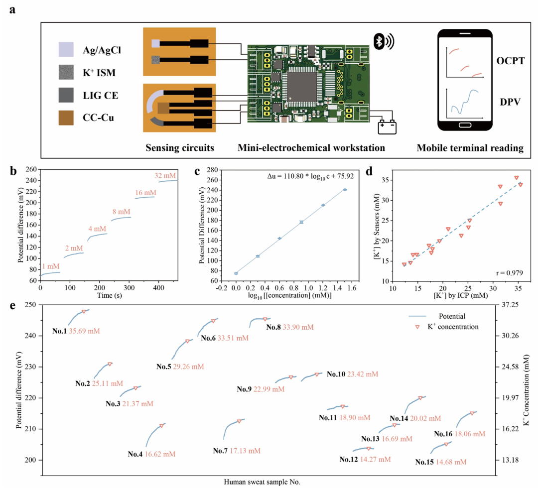 Biosensors&Bioelectronics：多功能激光诱导石墨烯电路和激光打印纳米材料用于无创人体肾脏功能监测