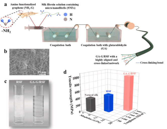 北京石墨烯研究院《Carbon》：超强韧的丝纤维与功能化石墨烯交联，用于轻质和先进的结构材料
