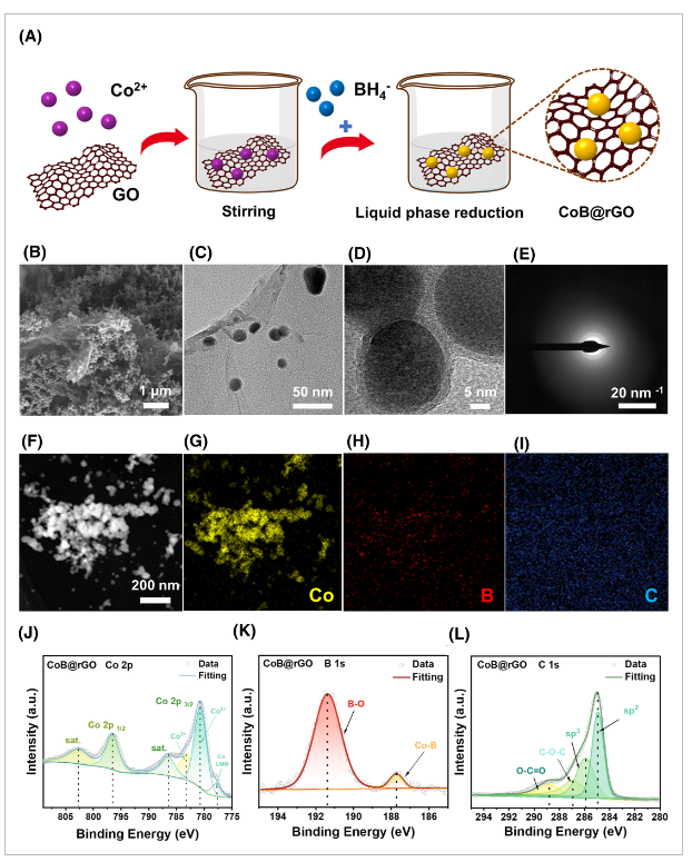 电子科技大学《Eco Energy》：非晶亲石钴boride@rGO夹层，用于无枝晶和高稳定性锂金属电池