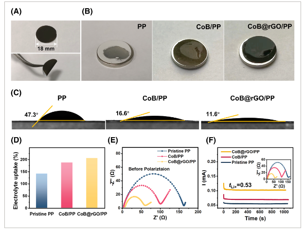 电子科技大学《Eco Energy》：非晶亲石钴boride@rGO夹层，用于无枝晶和高稳定性锂金属电池