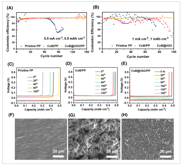 电子科技大学《Eco Energy》：非晶亲石钴boride@rGO夹层，用于无枝晶和高稳定性锂金属电池