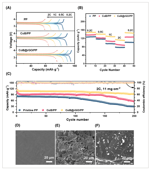 电子科技大学《Eco Energy》：非晶亲石钴boride@rGO夹层，用于无枝晶和高稳定性锂金属电池