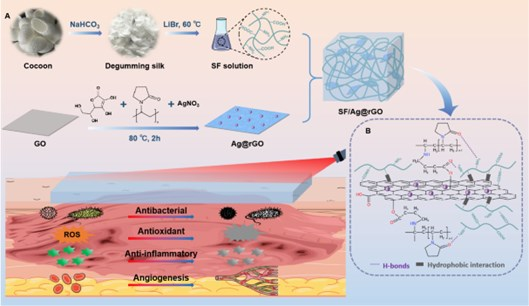 青岛科技大学郭传龙、吴晓晨《AHM》|丝素蛋白、银纳米颗粒和还原氧化石墨烯水凝胶敷料：近红外光热抗菌与皮肤再生