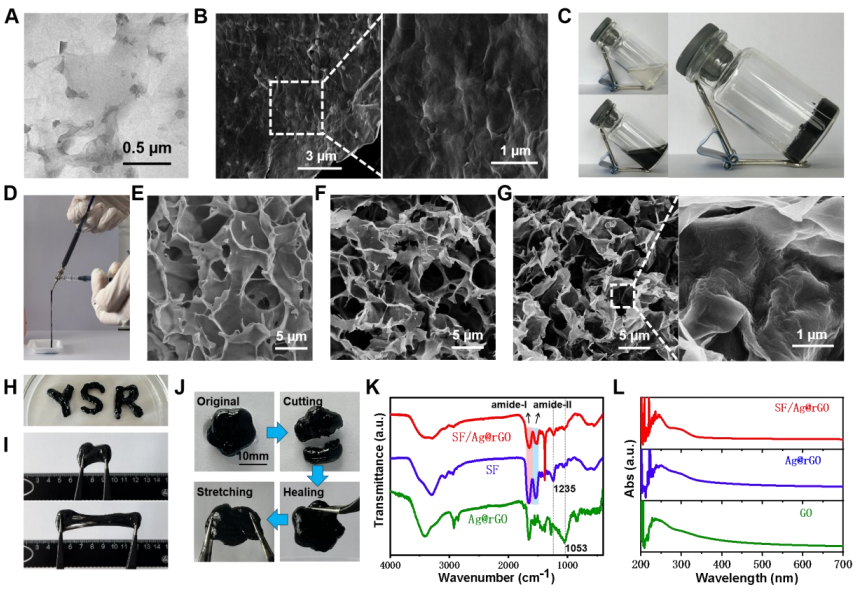 青岛科技大学郭传龙、吴晓晨《AHM》|丝素蛋白、银纳米颗粒和还原氧化石墨烯水凝胶敷料：近红外光热抗菌与皮肤再生