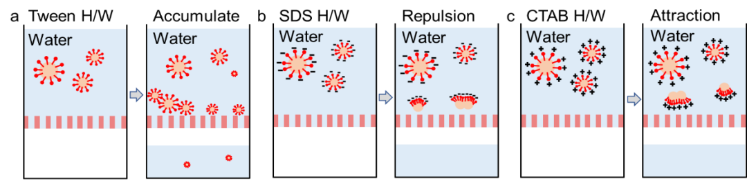 物理化学学报 | 吉林大学吴立新教授团队：氧化石墨烯辅助的超分子骨架膜用于水包油型纳米乳液的高效分离