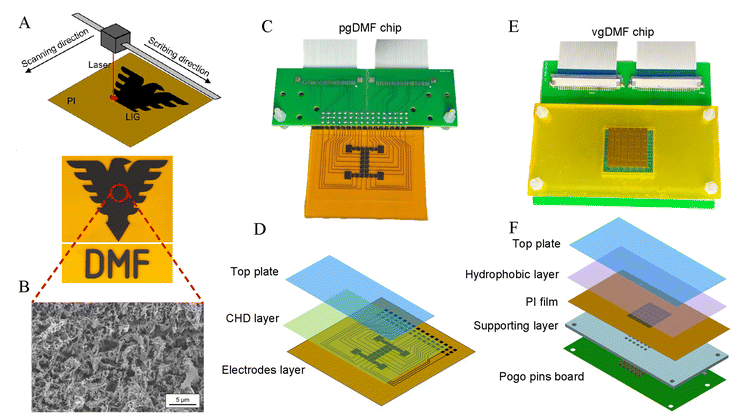 浙江大学《Lab Chip》：激光诱导石墨烯基数字微流控：成本低于一美元的多功能平台