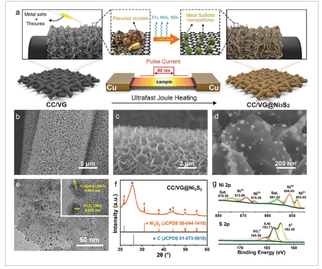 浙工大/浙大《Small》：通过焦耳加热实现垂直石墨烯上的超快负载硫化镍，用于增强型锂金属电池