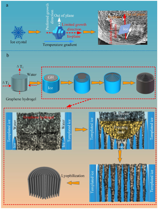 北京科技大学《Carbon》：通过冰模板制备可压缩石墨烯气凝胶，用于环境修复和柔性电子产品