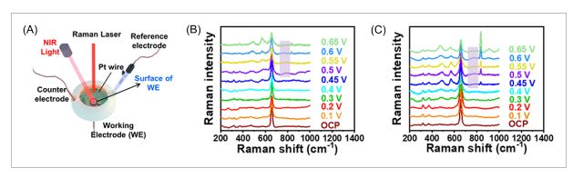 温州大学《Carbon Energy》：Ni-Mn3O4/N-rGO作为光热双功能催化剂，用于高性能柔性可充电锌空气电池