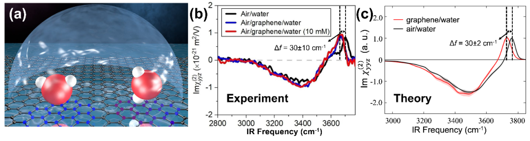 【物化】理论光谱计算和实验测量合力揭示石墨烯-水界面的微观结构