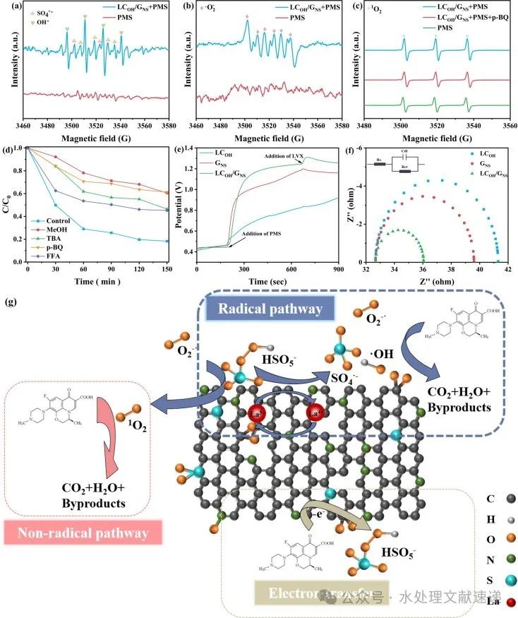 文献速递|华东理工大学SPT:LaCO3OH与N、S共掺石墨烯对过硫酸盐的活化作用，用于降解左氧氟沙星