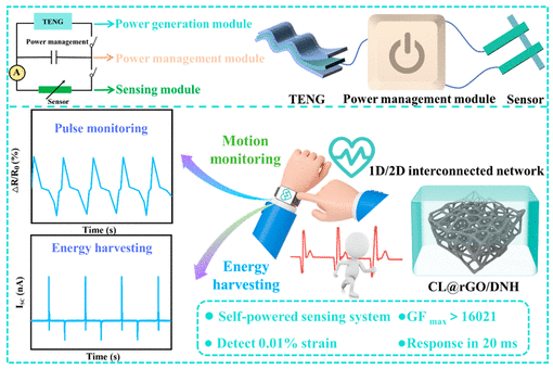 大连工业大学《ACS AEM》：石墨烯互锁碳化丝瓜络，用于能量收集和生理信号监测