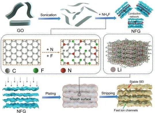 南京邮电大学《Nano Res》：氮氟共掺杂石墨烯，用于超稳定锂金属负极