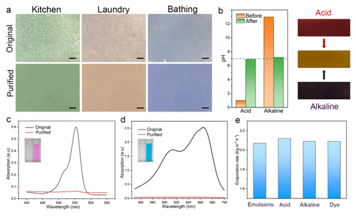 烟台大学《Langmuir》：多功能GO/ANF气凝胶，可在各种环境中实现高效的太阳能水净化