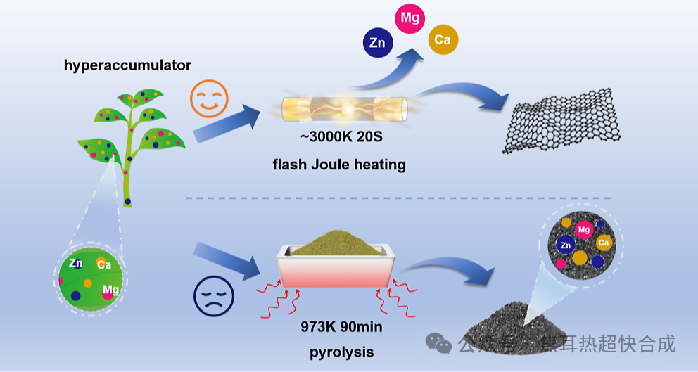 重金属生物质一举两得极速转化：20秒3000K实现高效金属去除与石墨烯生成