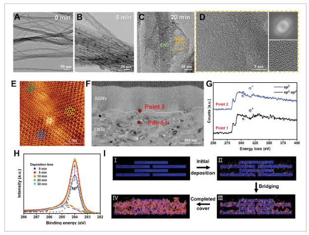 中科院苏州纳米所《AFM》：坚固耐用的多功能异质结构碳纳米复合材料，对恶劣环境具有多种适应性