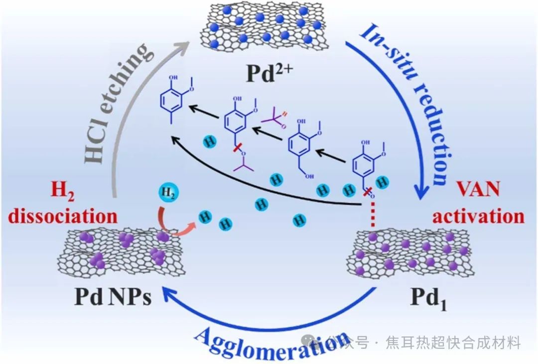 【氢化反应】多孔石墨烯辅助的动态钯催化