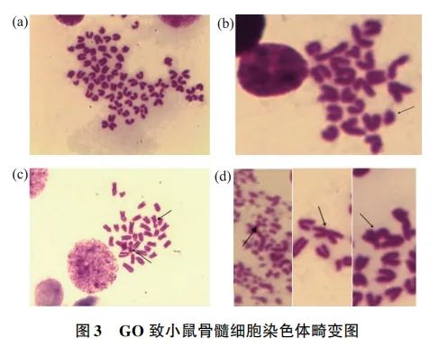 你知道吗？研究表明：制作黑色发热膜的材料可能有毒