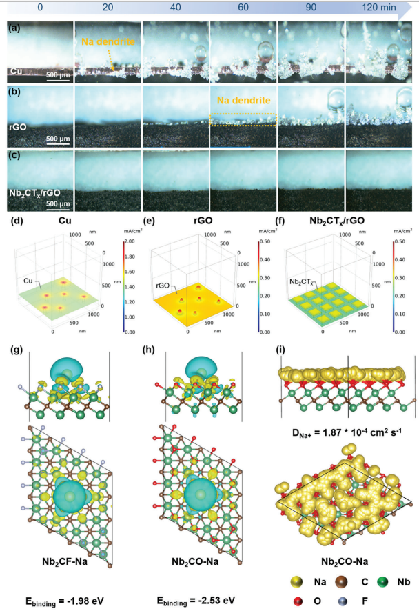 郑州大学王烨先进功能材料AFM:基于3D打印技术构建的亲钠Nb2CTx/还原氧化石墨烯单体：实现钠金属负极的长循环稳定性