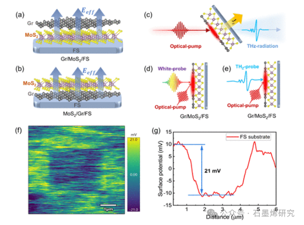 上海科技大学Weimin Liu、中国科学院大学和上海大学--石墨烯-二硫化钼垂直异质结构中电荷转移的叠加顺序和衬底引入电场