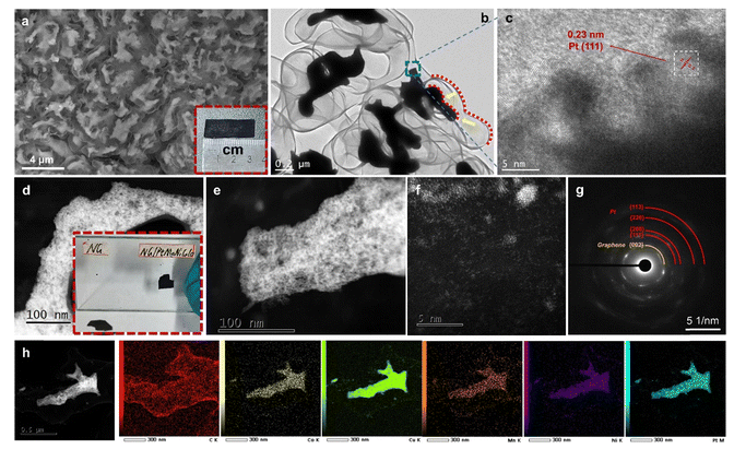 哈工大《Nanoscale Horiz》：气泡弹性3D独立纳米多孔石墨烯，用于增强电催化