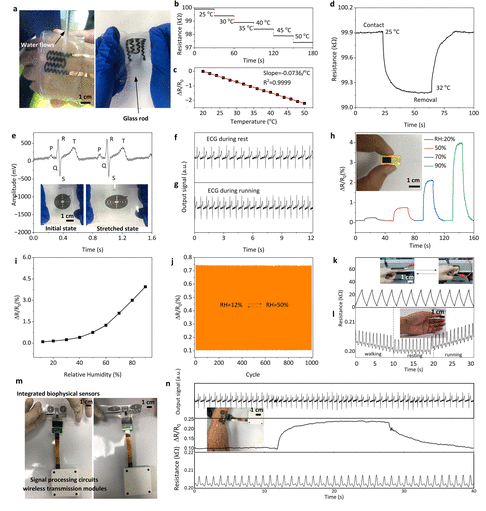 闽江学院等《ACS Sens》：低成本制备3D石墨烯/Co3O4 纳米复合材料，用于健康监测和人机界面