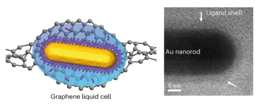 研究前沿：金纳米粒子-石墨烯Nature Chemistry
