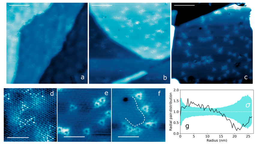 鲁汶大学ACS Nano:实现高替代掺杂浓度的锰掺杂石墨烯：超低能离子注入与退火技术