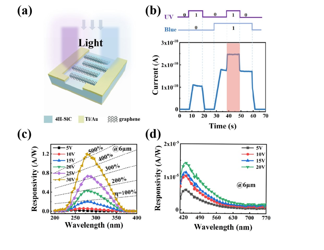 厦门大学张峰AOM：用于光电逻辑门的高性能SiC/石墨烯紫外可见双波段光电探测器