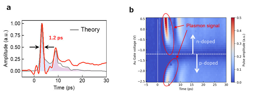 Figure 4 (a): Real-time waveforms of graphene plasmon wave packets at a metal gate voltage of 1.5 V. The peak exists after 9ps is due to multiple reflections in the circuit. (b): Gate voltage dependence of plasmon wave packet. The amplitude of the plasmon signal varies with the voltage. Further, the propagation time of the signal increases as it approaches the charge neutral point, indicating that the phase changes with the voltage.