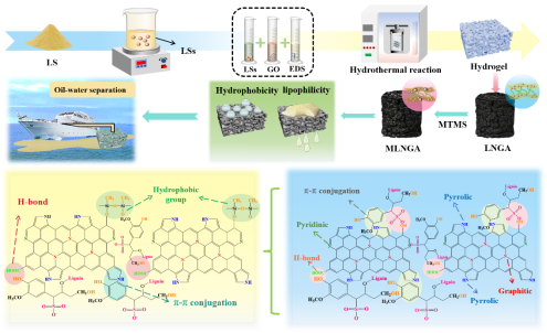 新疆农业大学 《CEJ》: 高疏水性LS/石墨烯气凝胶，用于油水分离