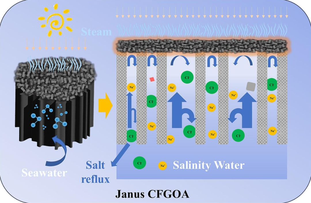 海军工程大学《CEJ》：多孔耐盐碳基气凝胶，用于海水淡化